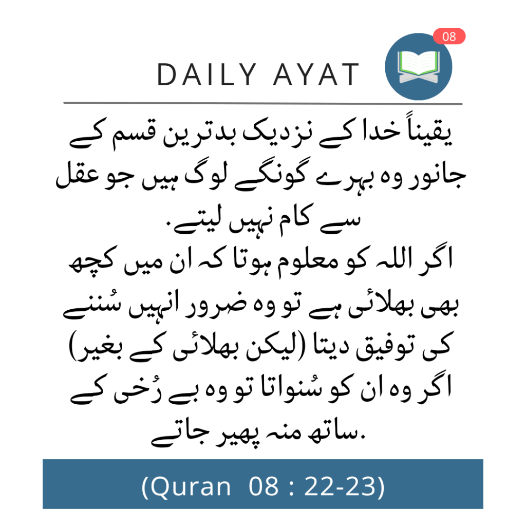 Quran quote about insaan